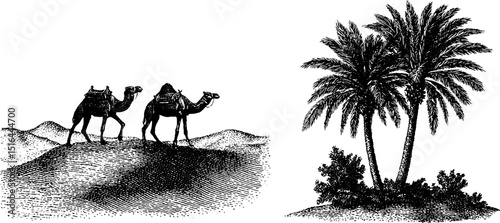 Engraved illustration of desert caravan and oasis palm trees scene
