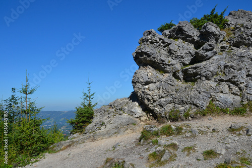 Kopieniec Wielki (1328 m. n. m.) – a peak in the mountain forest part of the Western Tatras, between the Olczyska Valley and Chlabowska Valley. Zakopane, Poland