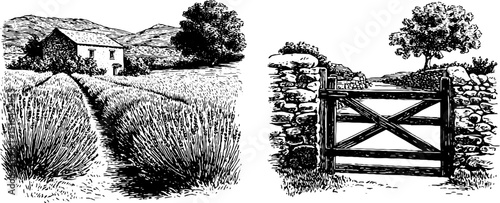 Engraved illustration set featuring lavender field and rustic stone gate