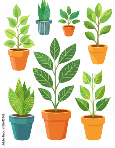 plants in pots collection