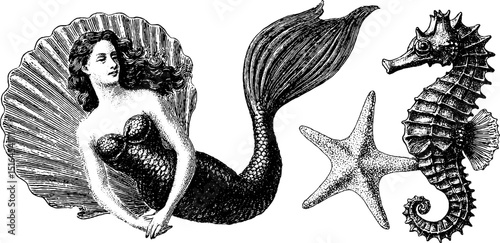Elegant mermaid and seahorse engraving set with shell and starfish elements