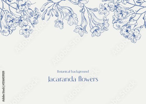Jacaranda tree flowers, floral illustration. Toile blue beige. Vintage vector background for design greeting card, invitation, wedding decor, celebrate, poster. Hand drawn elements