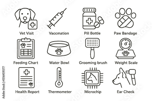 Veterinary care icons: dog, vaccination, pill bottle, paw bandage, pet health tools