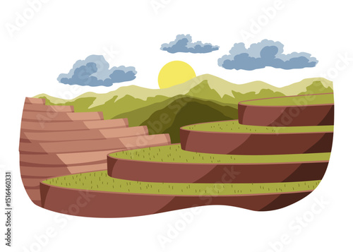 Rice fields scenery with no people. Rice plantations. Landscape with paddy fields. Vector illustration background