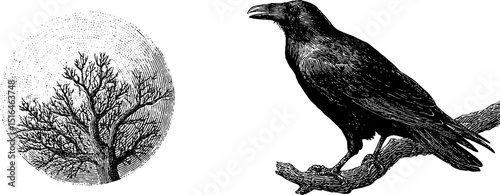 Engraved illustration of raven on branch and bare tree for art design and nature themes