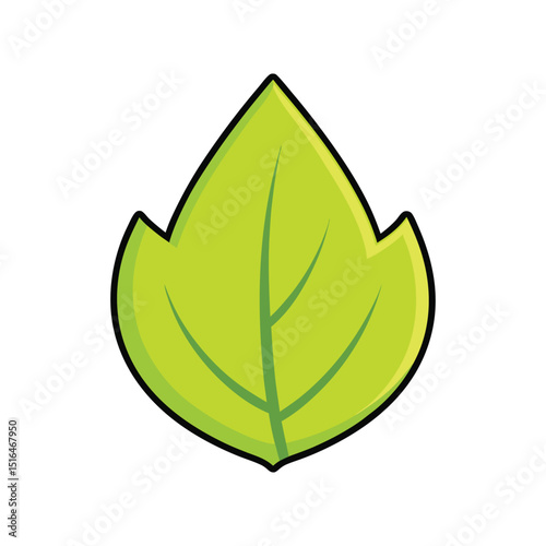 Cartoon leaf illustration on White Background 