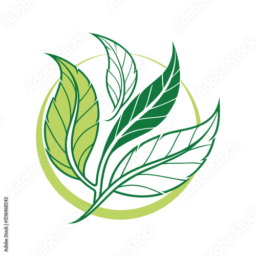 Green Tea Leaves Logo