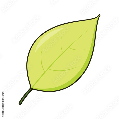 A vibrant green leaf, showcasing natural details and botanical beauty.