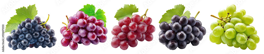 Fototapeta premium PNG Colorful grape variety illustration, element set on transparent background