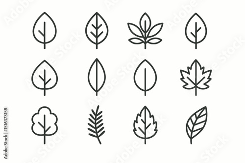Collection of minimalist leaf icons in simple outline design