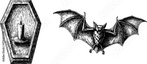 Engraved halloween illustration of gothic vampire coffin and bat scene