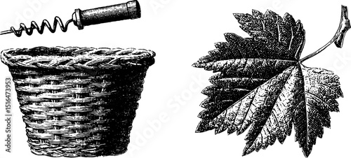 Engraved illustration of vineyard basket, grapevine leaf, and corkscrew for wine themes