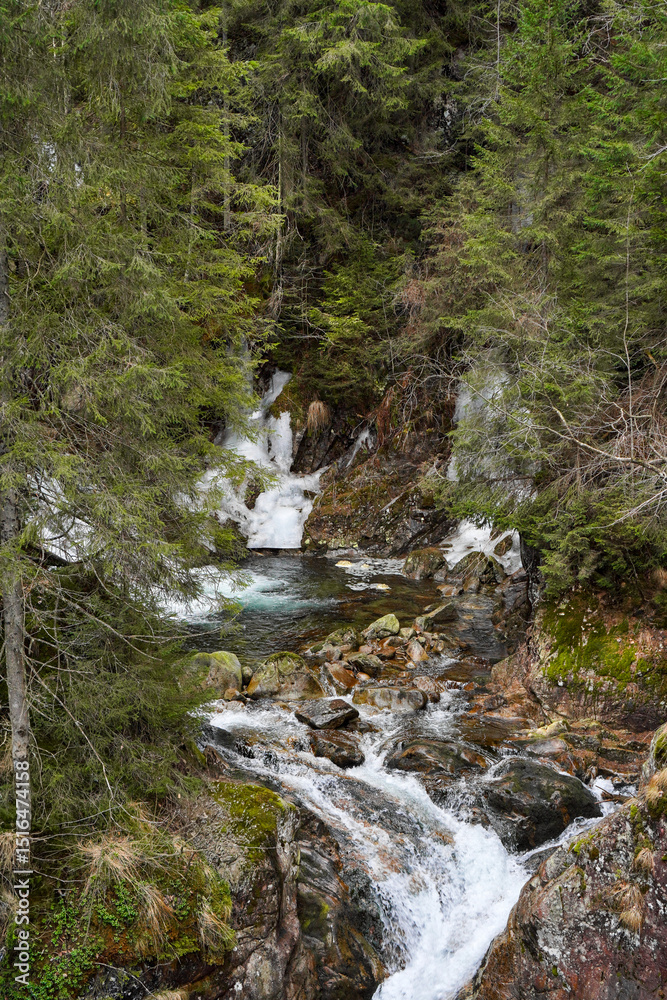 Rocky Stream in Wild Untouched Nature Rocky Stream in Wild Untouched Nature