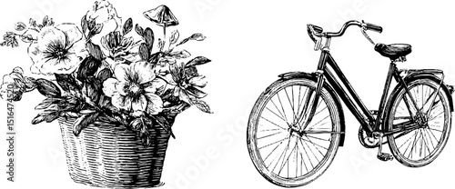 Vintage bicycle and floral basket engraving for retro design and decoration