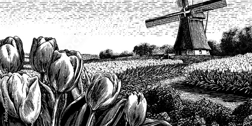 Vintage engraved illustration of windmill and tulip field for classic design and decor