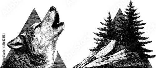 Engraved wilderness illustration of howling wolf and mountain pines for nature themed design