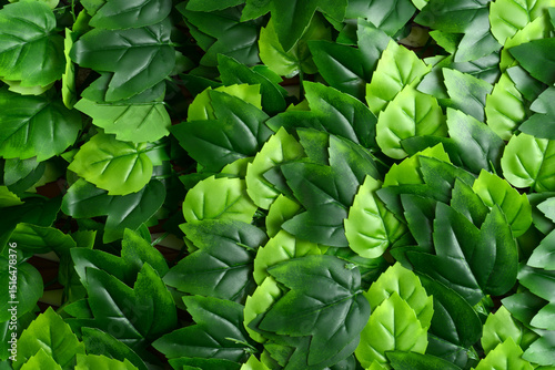 artificial striped maple leaves making a background