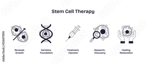 Stem cell therapy is illustrated with doodle icons of cells, DNA, syringe, magnifier, and hands, representing growth, genetics, treatment, research, and healing. Doodle style icons