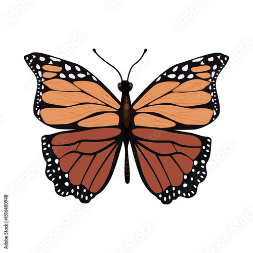 Tropical butterfly on a isolated background. For decorating postcards, invitations, textiles. Vector illustration.