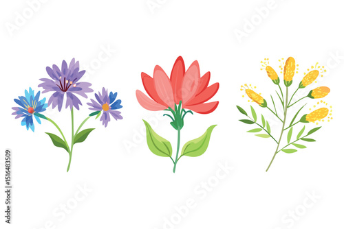 Vibrant Blossoms in Bloom: A vivid array of botanical blooms showcases the elegance of floral life. Each one offers a captivating spectacle, with striking shapes and tones.