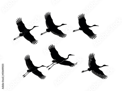 Silhouettes of Cranes in Flight, elegant silhouette of a crane in mid-flight against a plain, crane, silhouette, bird, flight, nature, wildlife, animal, freedom, flying, black and white, vector, graph
