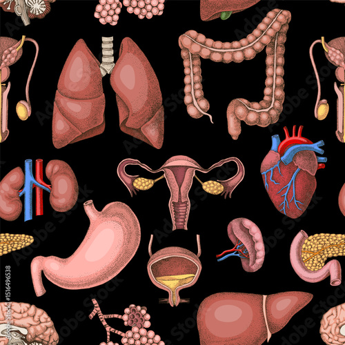 Human internal organs seamless pattern