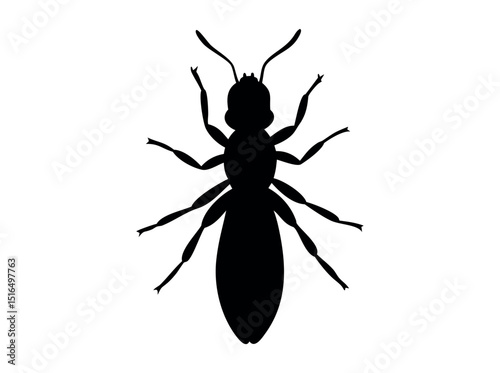 Silhouette of a Spider or Insect, silhouette of a spider or insect, perfect for illustrations related to arachnids, insects, or pest control. spider, insect, arachnid, bug, pest, pest control, inverte