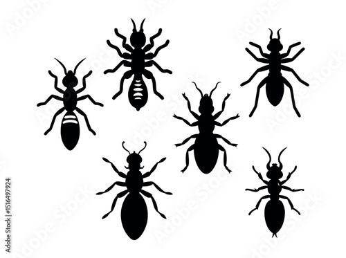 Silhouette of a Spider or Insect, silhouette of a spider or insect, perfect for illustrations related to arachnids, insects, or pest control. spider, insect, arachnid, bug, pest, pest control, inverte