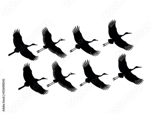 Silhouettes of Cranes in Flight, elegant silhouette of a crane in mid-flight against a plain, crane, silhouette, bird, flight, nature, wildlife, animal, freedom, flying, black and white, vector, graph