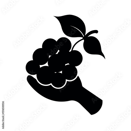 Grapes in Hand Black Vector Silhouette