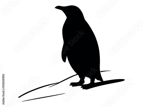 Silhouette of a Penguin on a Snowy Landscape,  silhouette of a penguin standing on a snowy or icy surface, penguin, silhouette, bird, black and white, animal, wildlife, arctic, antarctic, snowy, ice. 