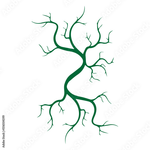 human veins and arteries icon