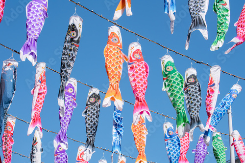 Colorful koinobori carp flags during kodomo no hi (Children's Day) national holiday in Japan