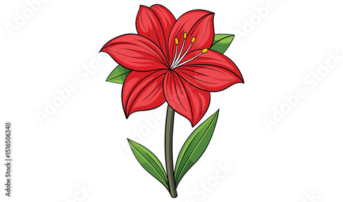 Red amaryllis flower isolated on white background illustration