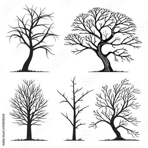 bare winter tree silhouette icon set of 6 silhouet (1).eps