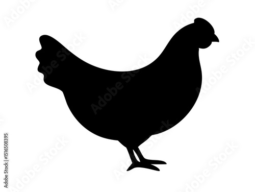  chicken icon. Silhouette of a female chicken icon. Beautiful chicken. Vector illustration. silhouette of a chicken on white