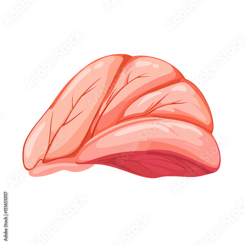 Close Up of Fresh Pink Raw Meat Piece on White Background for Culinary Use