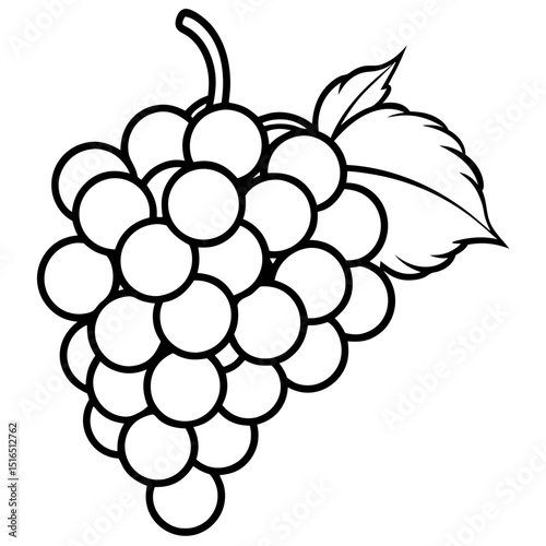 Simple Grapes Vector on White Background