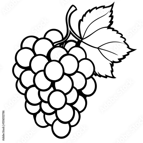 Simple Grapes Vector on White Background