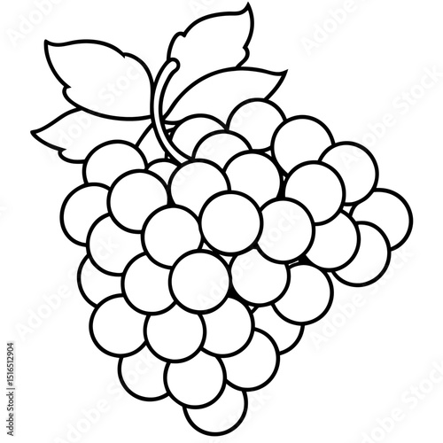 Simple Grapes Vector on White Background