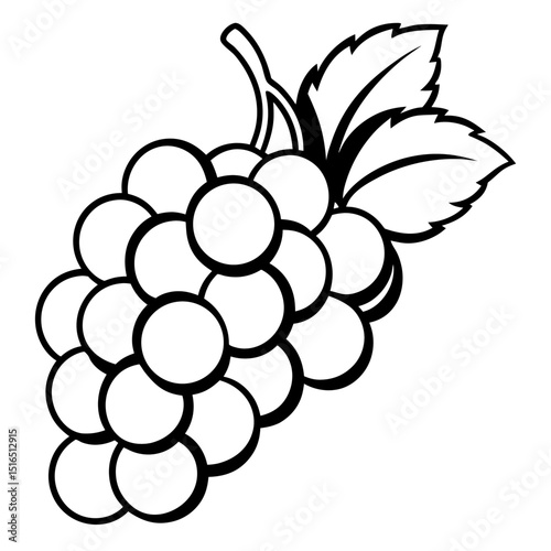 Simple Grapes Vector on White Background