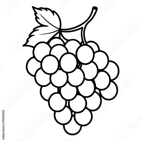 Simple Grapes Vector on White Background