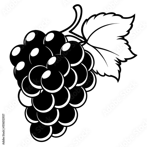 Simple Grapes Vector on White Background