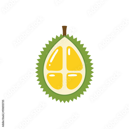 Cut Durian Illustration , Tropical Fruit Graphic with Spiky Green Skin and Yellow Flesh.