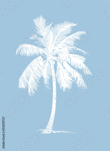 White palm tree silhouette on a blue background