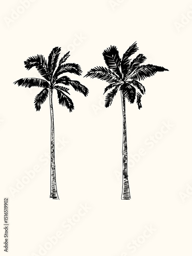 Illustration of two palm trees in black and white