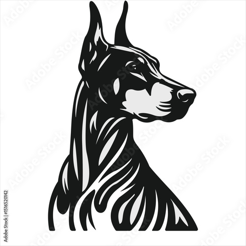 Dobermann illustration - Black and White Line Art Illustration