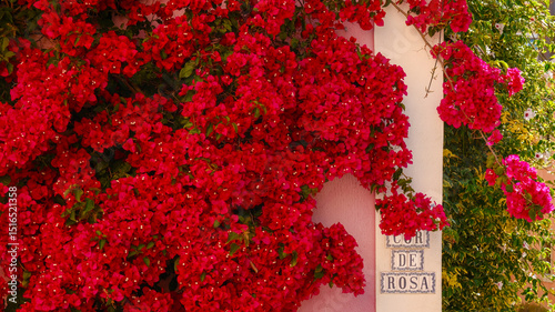 Pink bougainvilliea surround house number in Lisob, Portugal