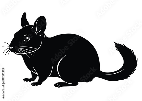 Chinchilla Silhouette Vector Illustration for Sublimation T Shirts Stickers