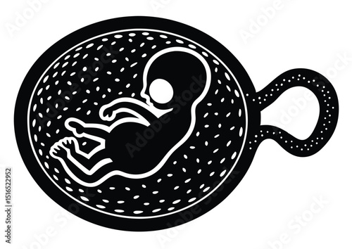 Human Embryo Silhouette Vector Illustration for Medical and Educational Design Projects